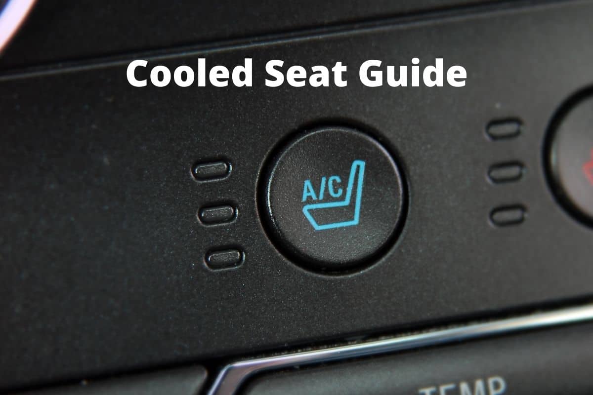 Cooled Seat Guide: What They Are, How They Work & More!