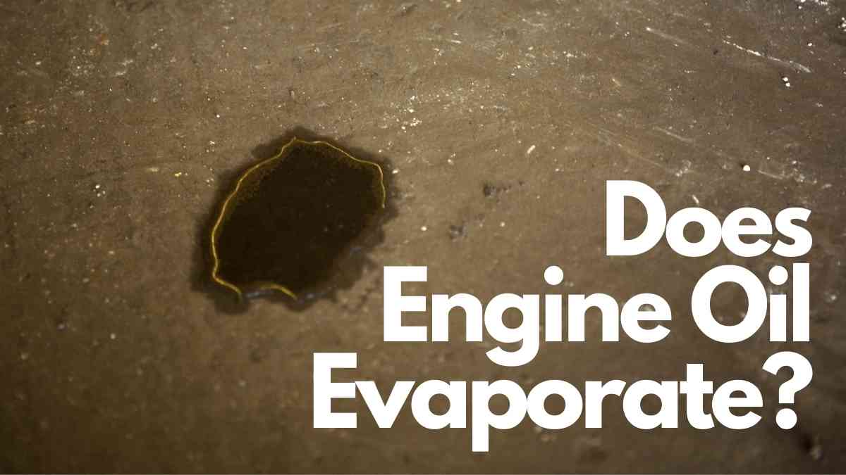 Does Engine Oil Evaporate? Vehicle Answers