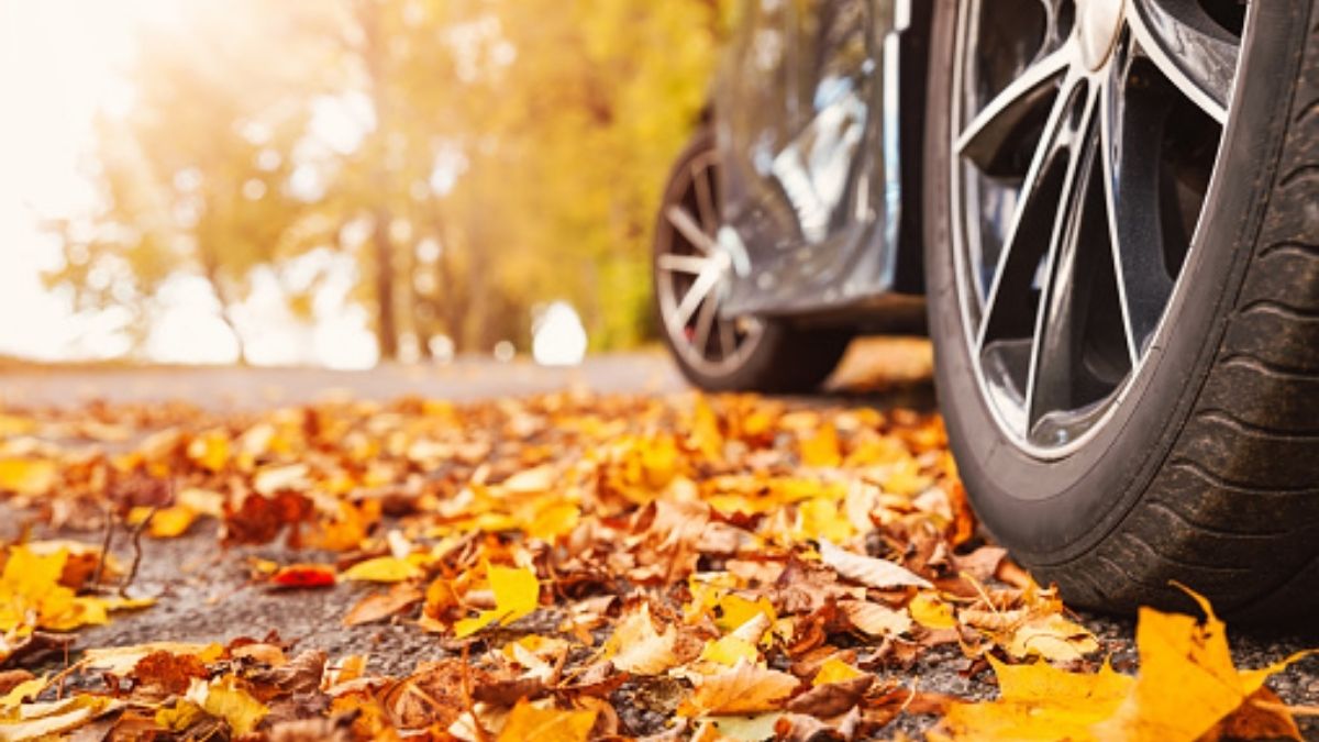 Touring vs AllSeason Tires Key Differences to Consider Vehicle Answers