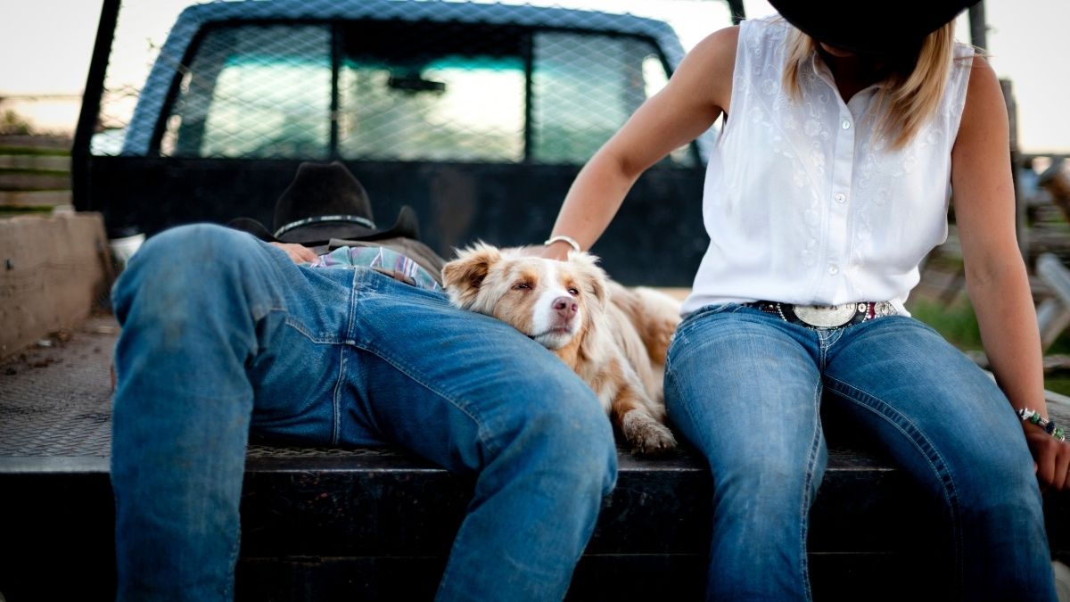 Can You Sit On A Truck Tailgate? Vehicle Answers