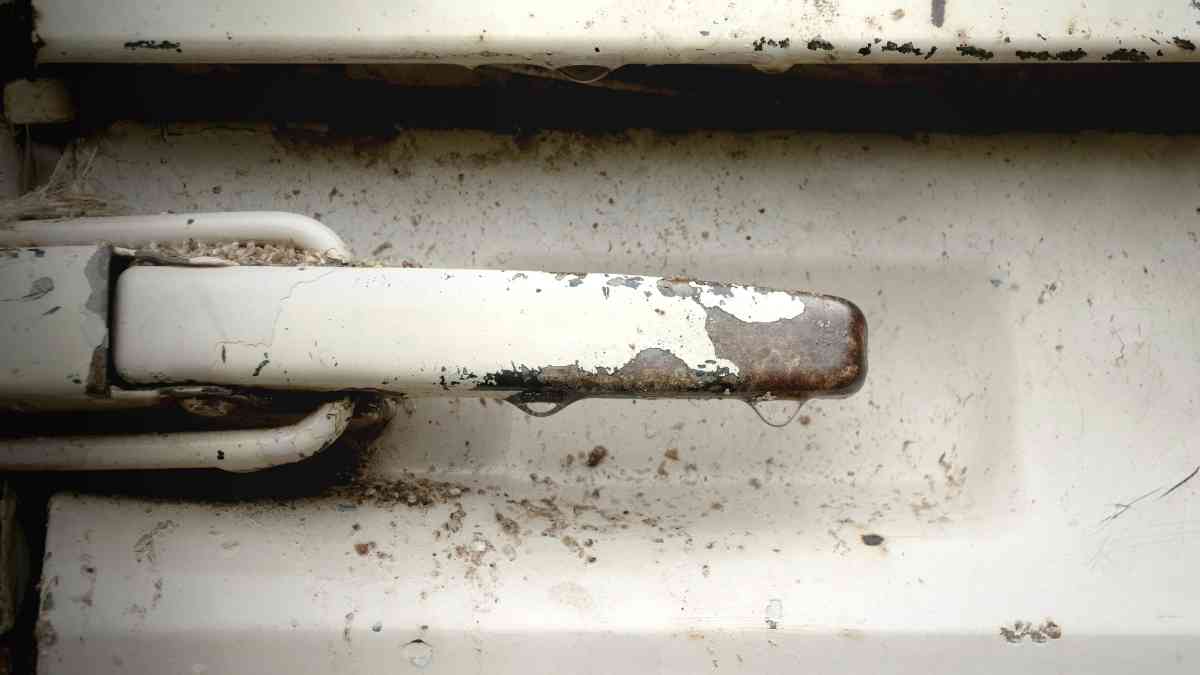 Do Tailgate Pads Scratch Your Truck? Vehicle Answers