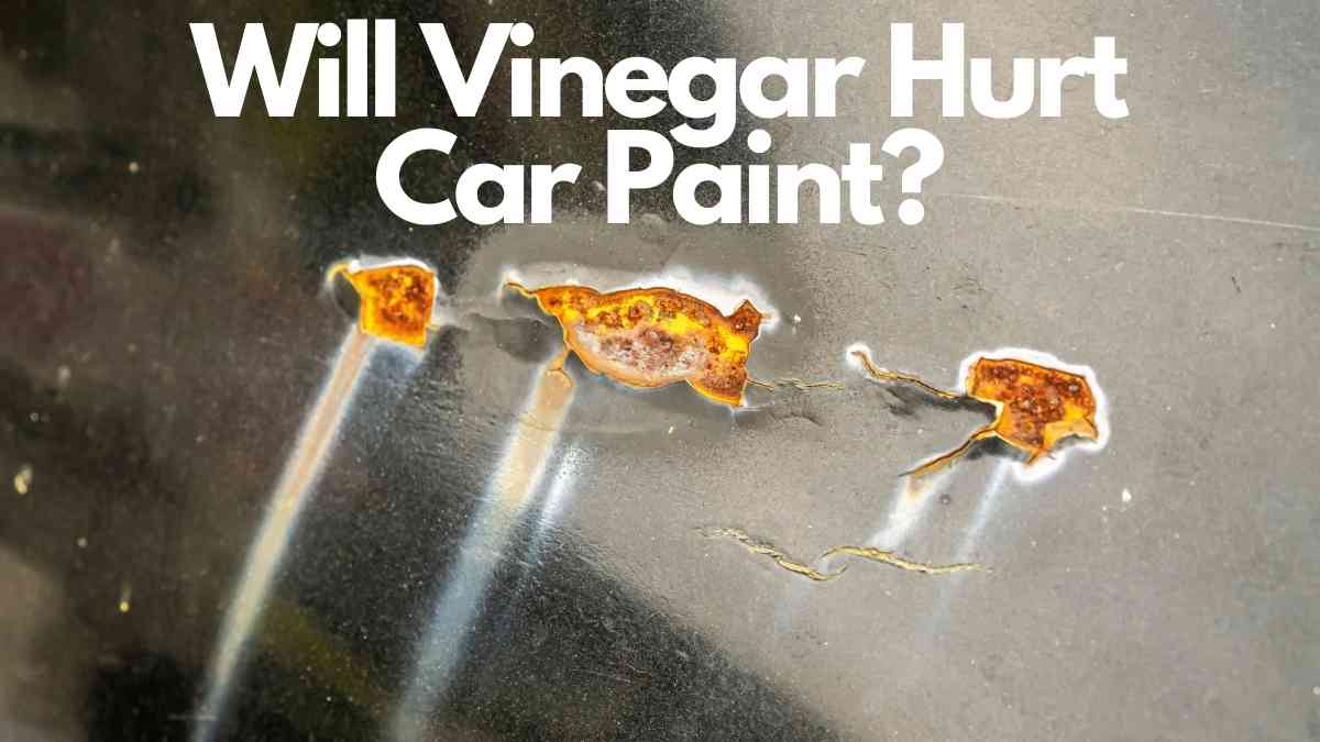 Will Vinegar Hurt Car Paint? Vehicle Answers