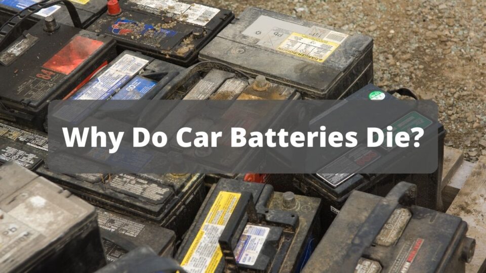 Why Do Car Batteries Die? Vehicle Answers