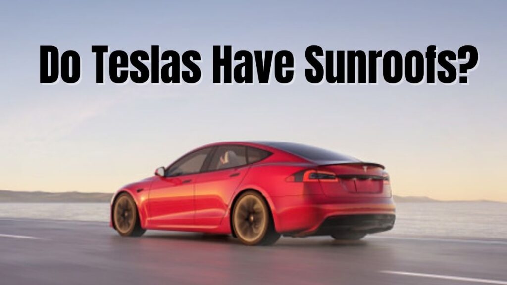 Do Teslas Have Sunroofs? Vehicle Answers