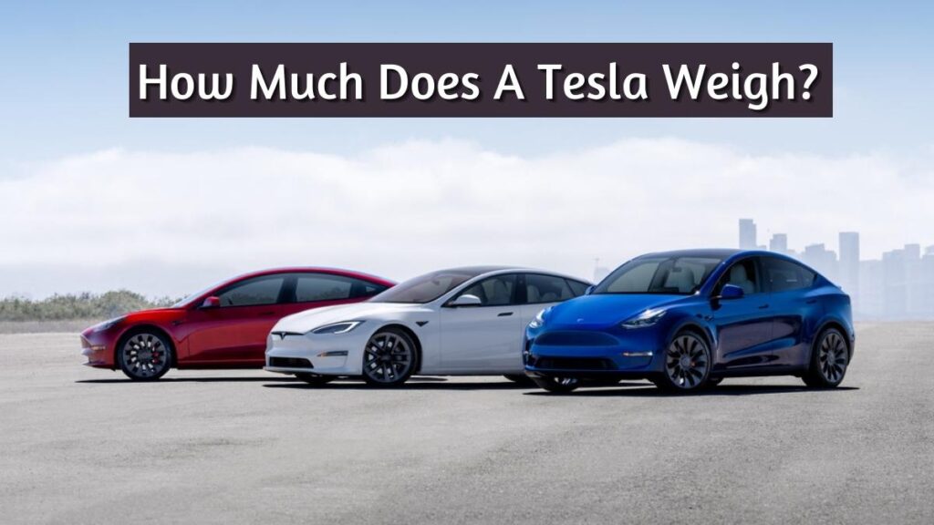 How Much Does A Tesla Weigh? (All Models Compared!) | Vehicle Answers