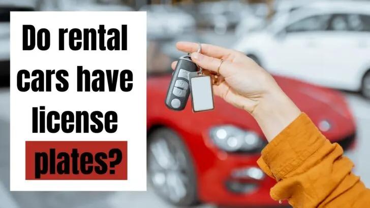 Do Rental Cars Have License Plates?